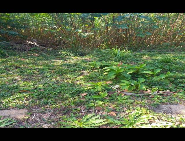 LAND FOR SALE IN SAICCOR